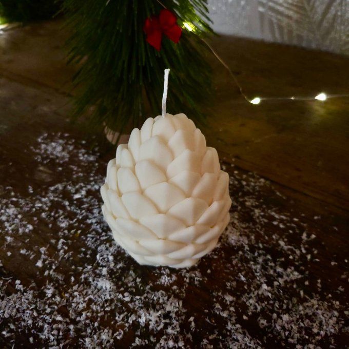 Pomme de Pin d’Hiver