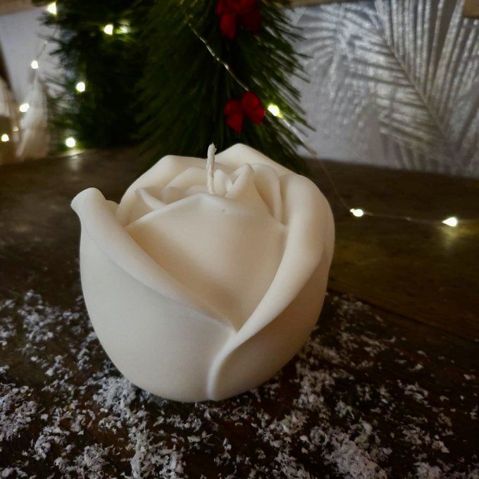 Rose en Cire – Édition Cadeau d’Hiver