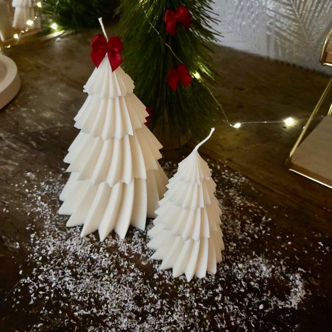 Duo Sapins d’Hiver