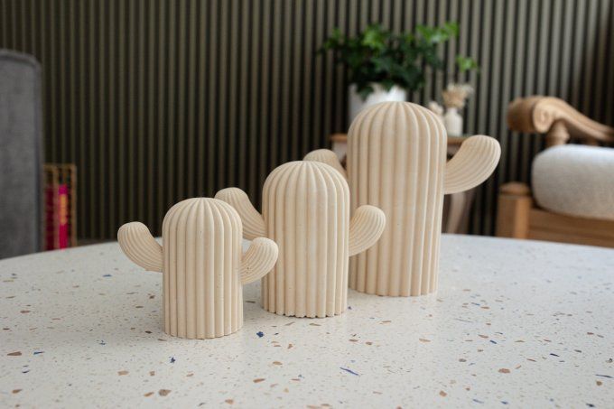LES CACTUS 