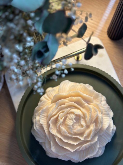La pivoine maxi