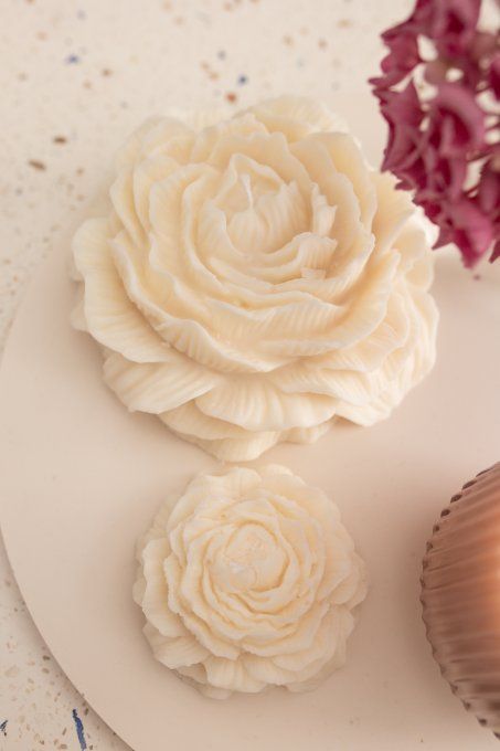 La pivoine maxi