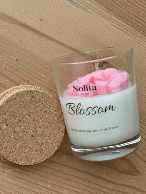 BLOSSOM - Orchidée blanche