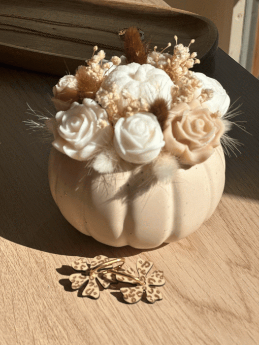 Souffle d’Automne - Citrouille